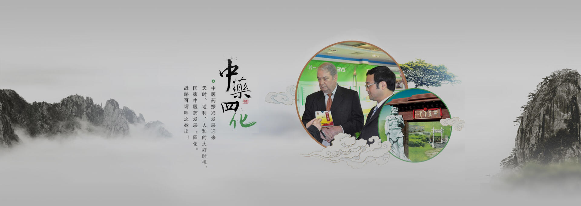 什邡建站-若一医药科技